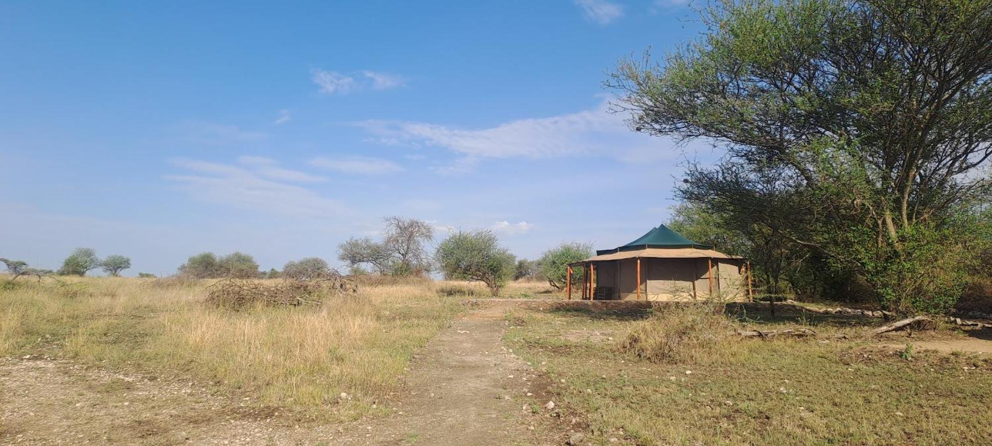 House Of Nature Serengeti Exteriör bild